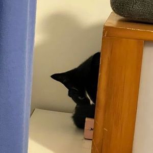 Meet your Posher, Edna